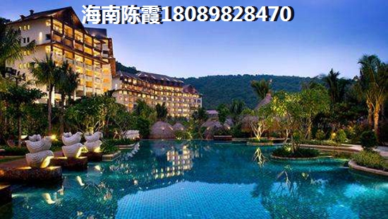 金晖·梦乡缘有什么优惠？