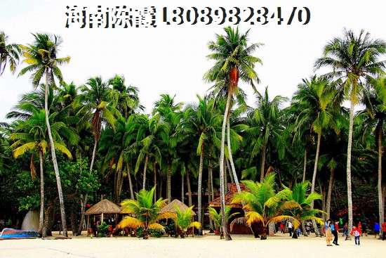 琼海买房过冬养老哪里醉靠谱？