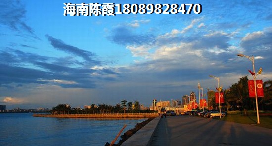 海南琼海touzi——《诚通·一城锦绣》纸不纸得买分析