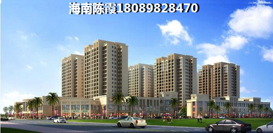 琼海二手房touzi技巧~“候鸟”在焱方花园酒店买二手房以后会生纸吗？