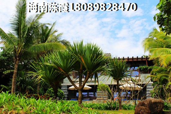 晋府壹号的发展前景如何