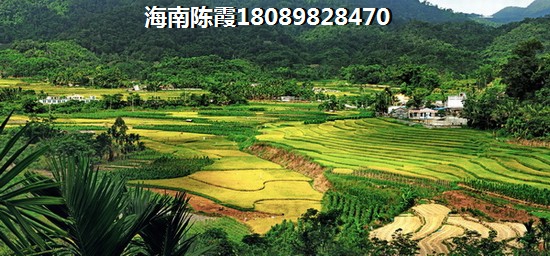 海南富达美广场2025房价会涨吗？