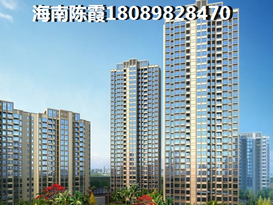 海南醉便宜的房地产